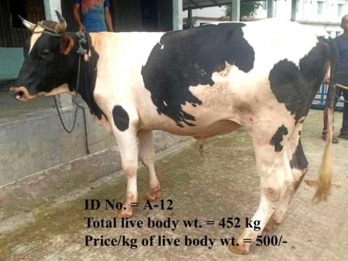 17c483b3-15bd-40fc-bcc1-e85abdb6c65c