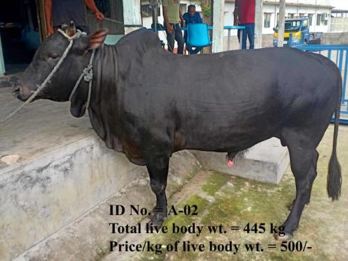 8deb4ee0-b935-4332-a177-a87fc81c641f