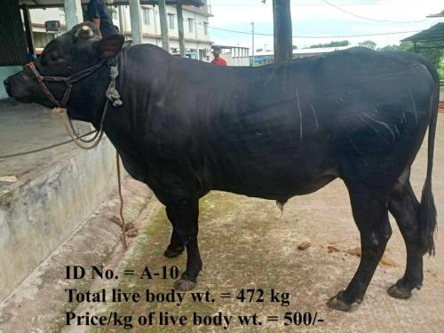 ff655add-d989-4982-9956-2879281e84ff